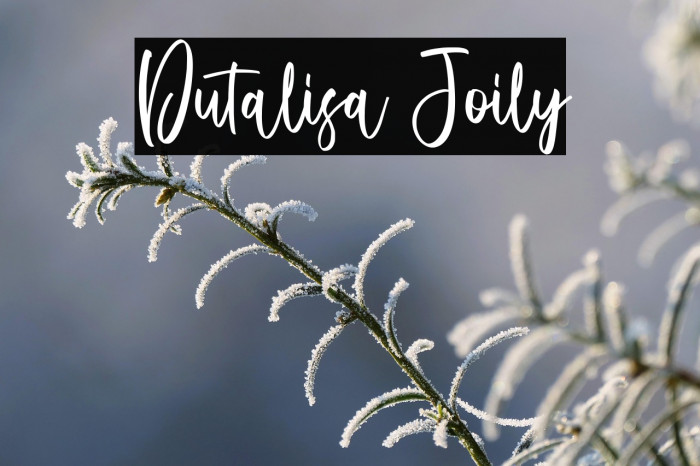 Dutalisa Joily Example 2