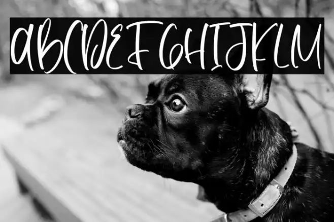 DutalisaJoily-Regular Example 1