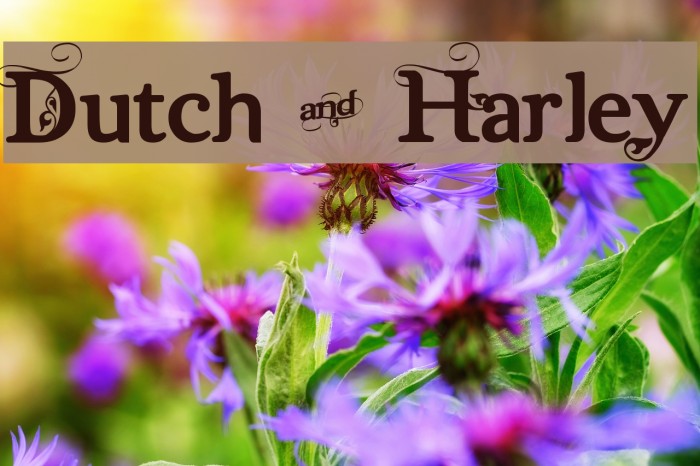 Dutch & Harley Example 1