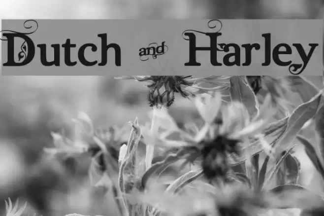Dutch & Harley Font examples