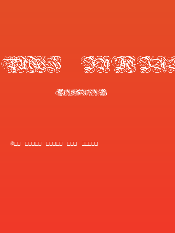 Dutch Initials Normal Poster