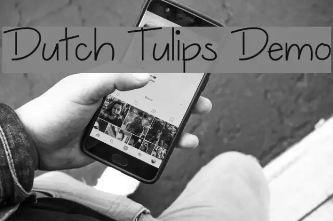 Dutch Tulips Demo Example 1