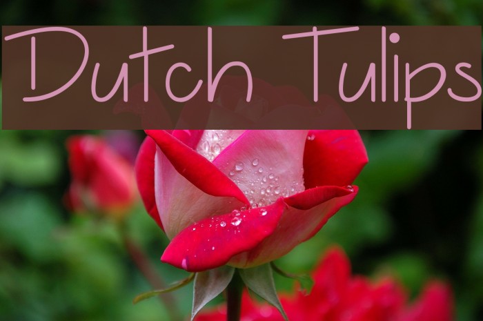 Dutch Tulips Example 2