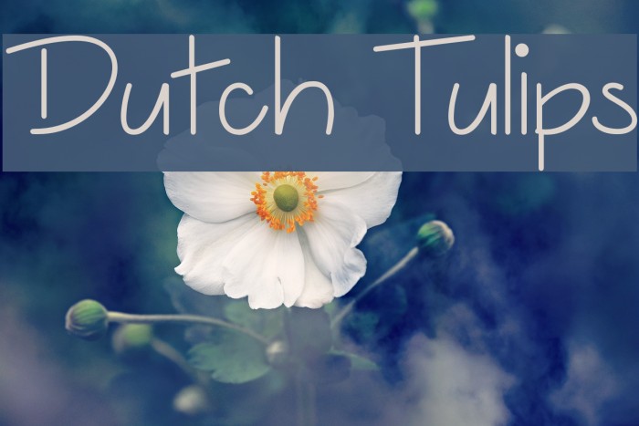 Dutch Tulips Example 3