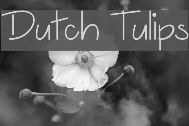 Dutch Tulips Font examples