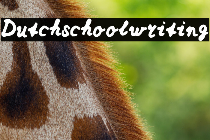 Dutchschoolwriting Example 1