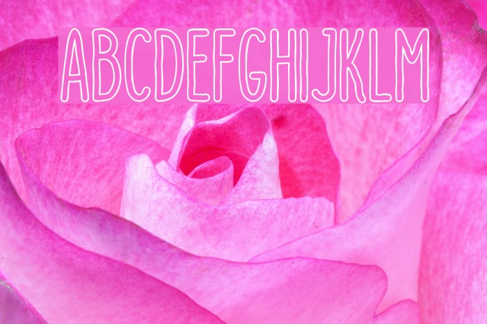 DutchyFree-Outline Example 3