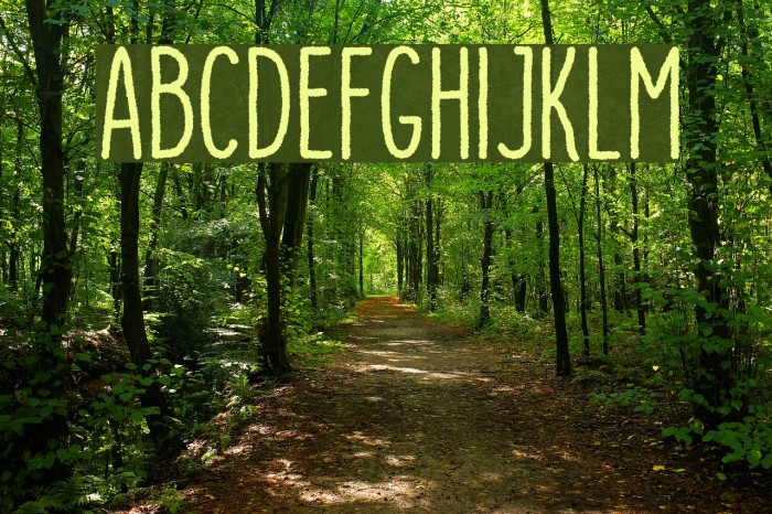 DutchyFree-Rough Example 1