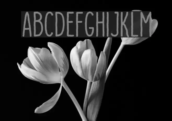 DutchyFree-Rough Font examples