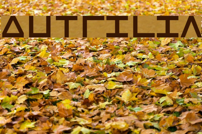 Dutrilin Font examples