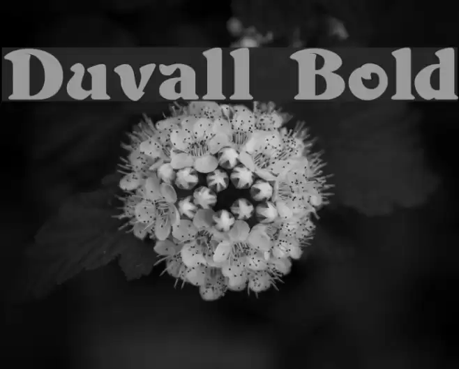 Duvall Bold Caratteri examples