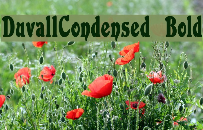 DuvallCondensed Bold フォント examples