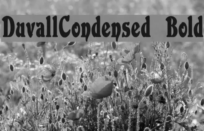 DuvallCondensed Bold Caratteri examples