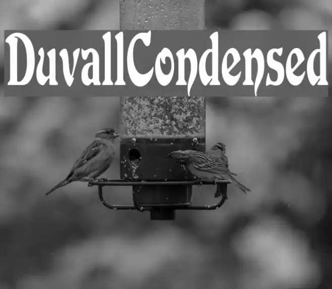 DuvallCondensed フォント examples