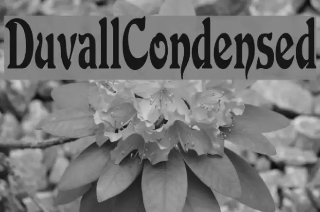 DuvallCondensed フォント examples