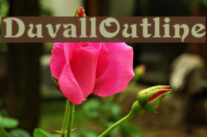 DuvallOutline Font examples