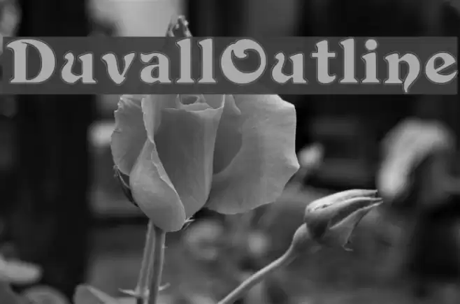 DuvallOutline Fuentes examples