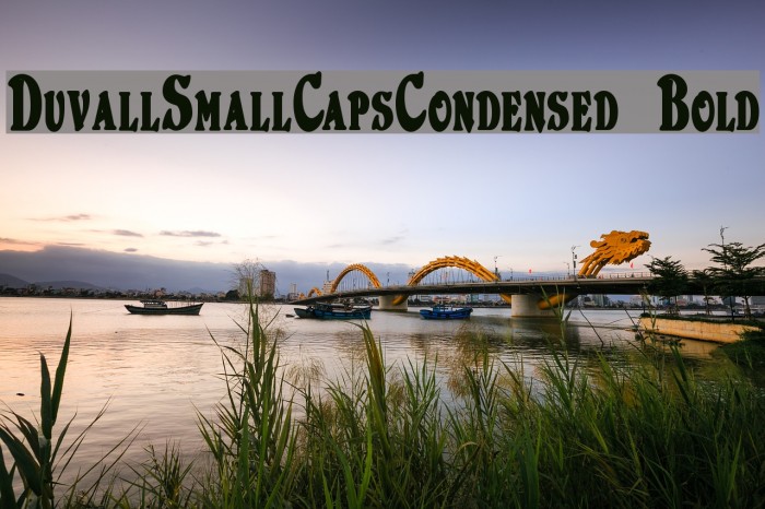 DuvallSmallCapsCondensed Bold Font examples