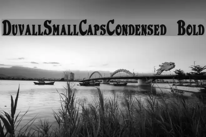 DuvallSmallCapsCondensed Bold Шрифта examples