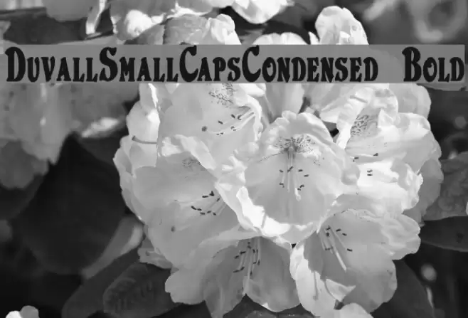 DuvallSmallCapsCondensed Bold Шрифта examples