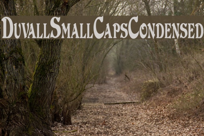 DuvallSmallCapsCondensed Font examples