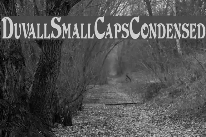 DuvallSmallCapsCondensed Example 2