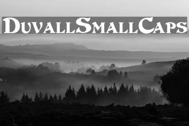 DuvallSmallCaps Example 1