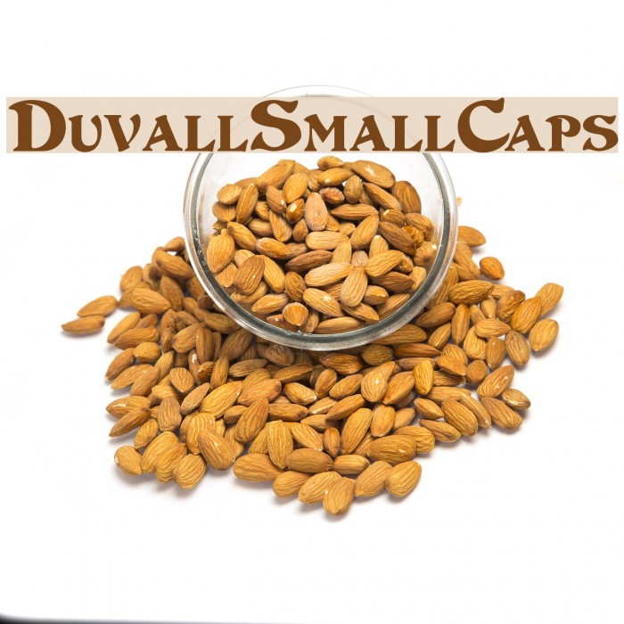 DuvallSmallCaps Font examples