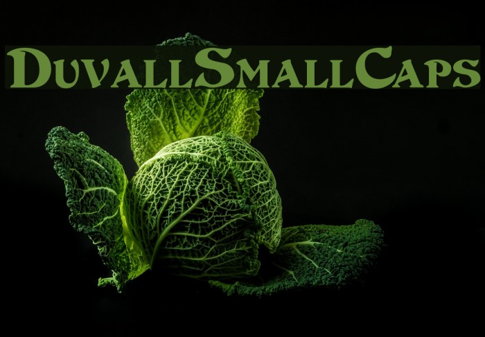 DuvallSmallCaps Font examples