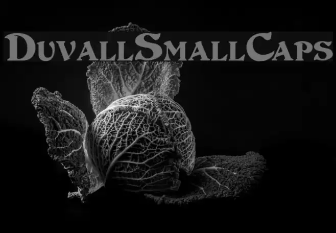 DuvallSmallCaps Example 3
