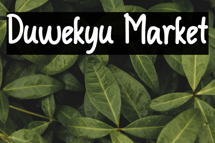 Duwekyu Market Example 2