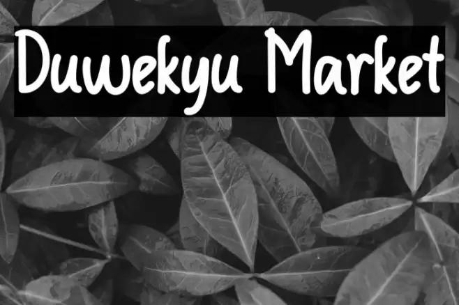 Duwekyu Market Font examples