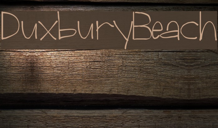 Duxbury Beach Example 3