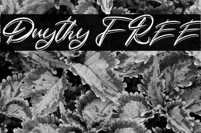 Duythy FREE Example 1