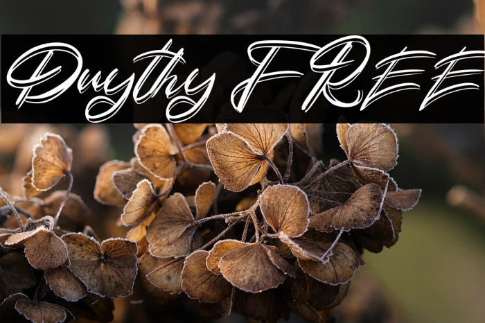 Duythy FREE Example 2