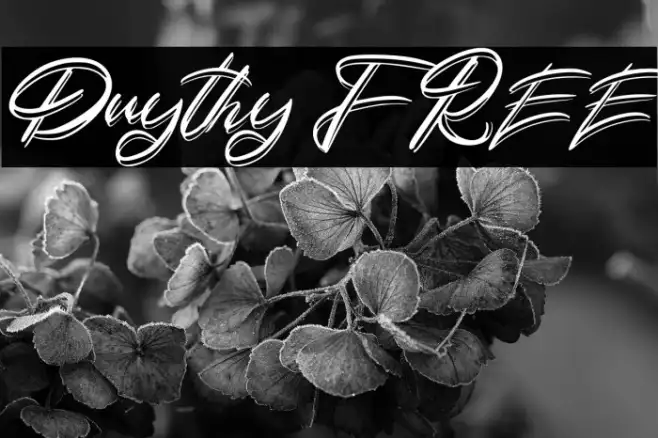 Duythy FREE Example 2