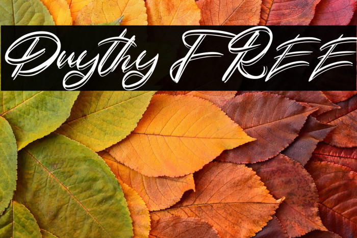 Duythy FREE Example 3