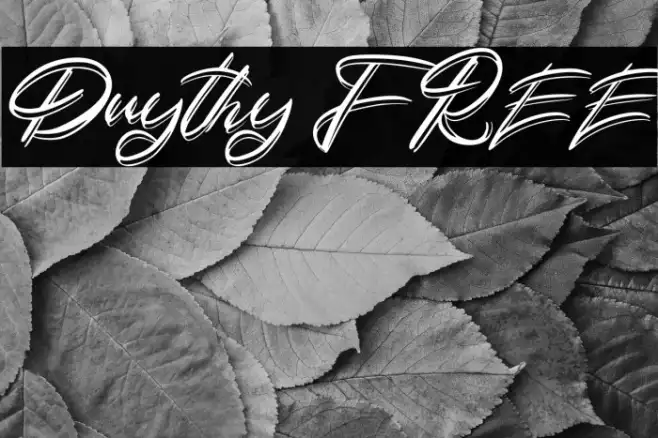 Duythy FREE Example 3
