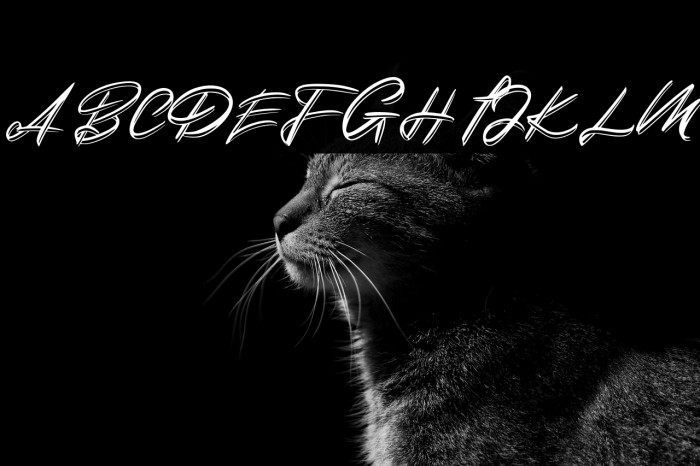 DuythyFREE Example 1