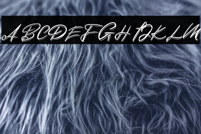 DuythyFREE Example 2