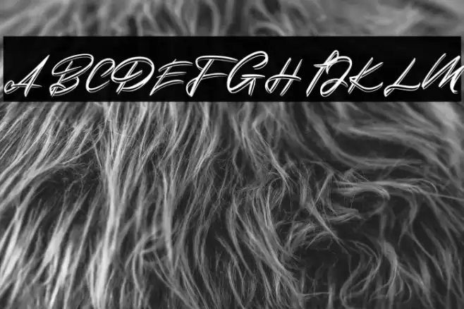 DuythyFREE Font examples