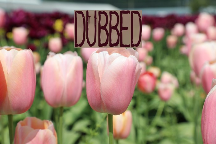 dubbed Font examples