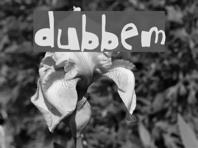 dubbem Font examples