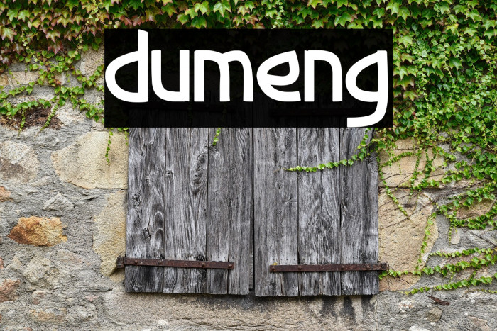 dumeng Example 2
