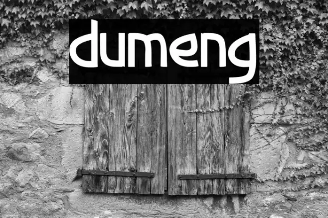 dumeng Font examples