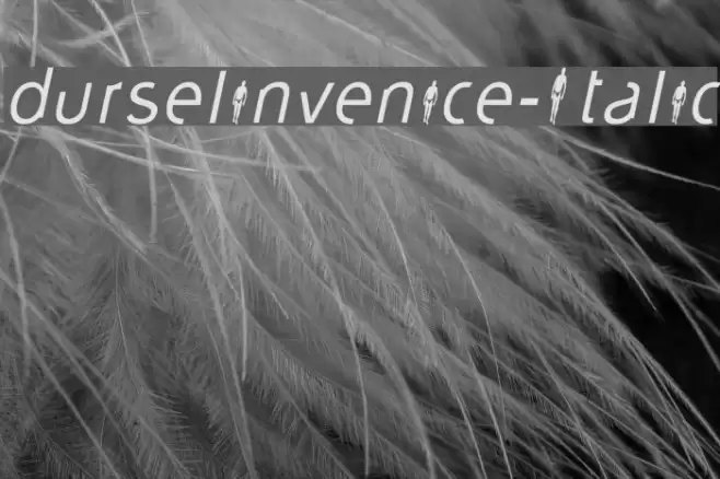 durselinvenice-Italic Font examples