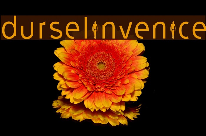 durselinvenice Font examples