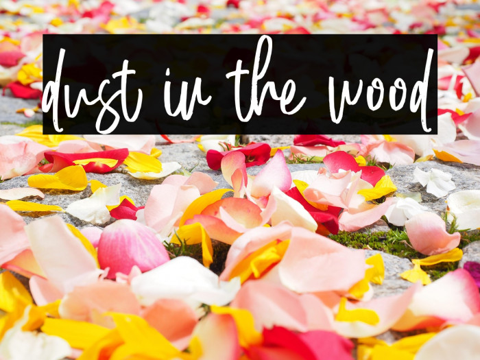 dust in the wood Example 1