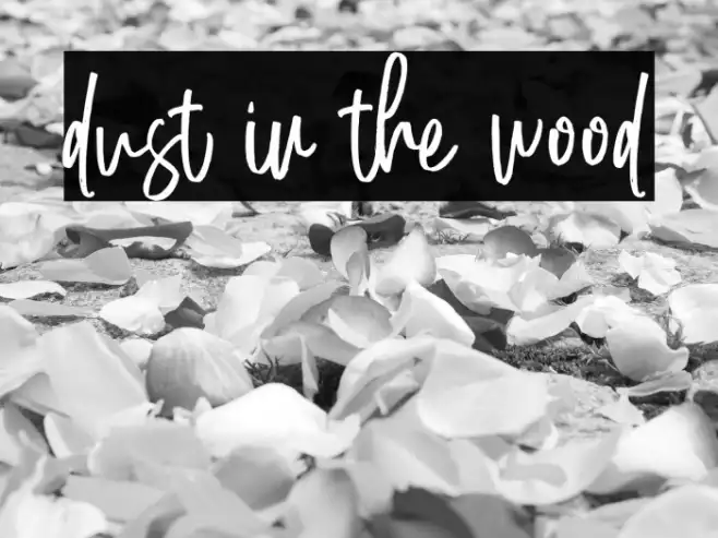 dust in the wood Example 1