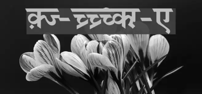 DV-TTSurekhEN-Bold Font examples